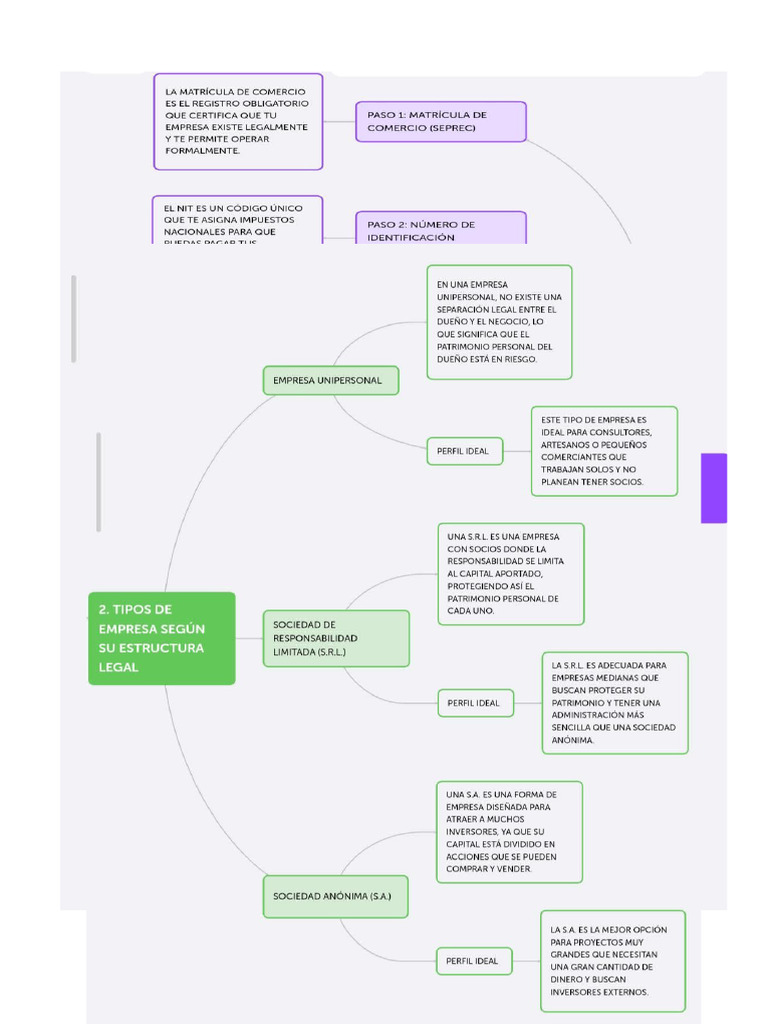 Mapa Conceptual Tema 2 y 3 | PDF