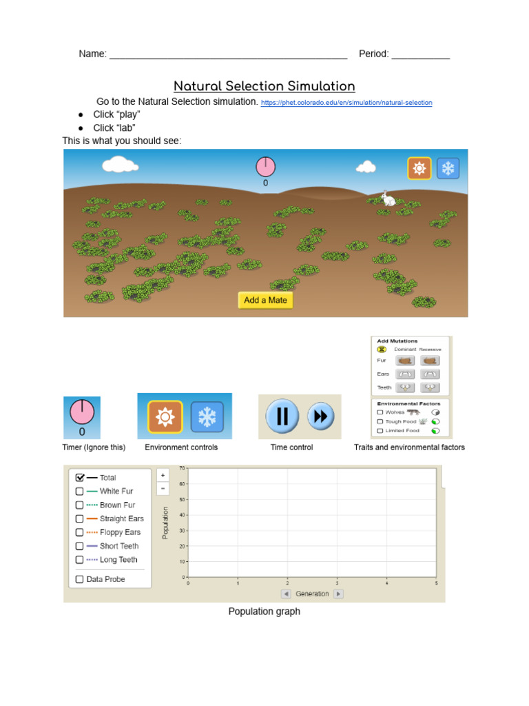 Copy of Natural Selection PhET Simulation | PDF | Dominance (Genetics ...