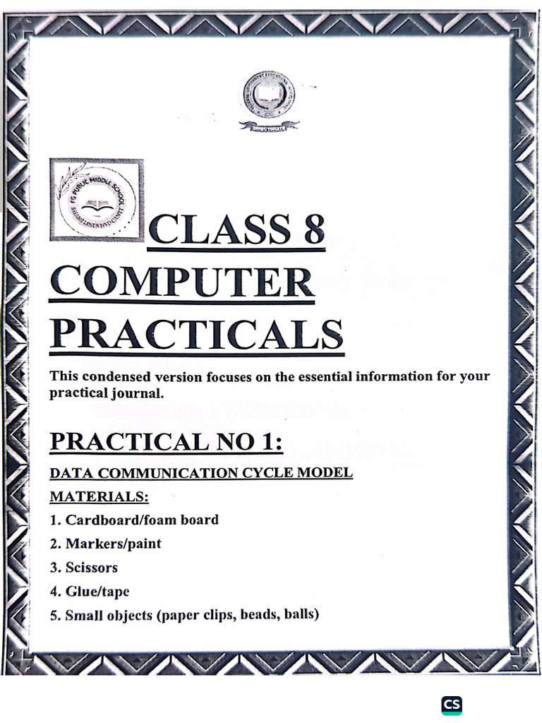 Class 8th Computer Mcqs | PDF