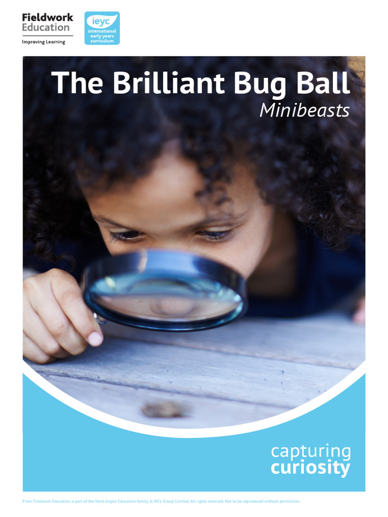 The Brilliant Bug Ball IEYC v3 | PDF | Pupa | Butterfly