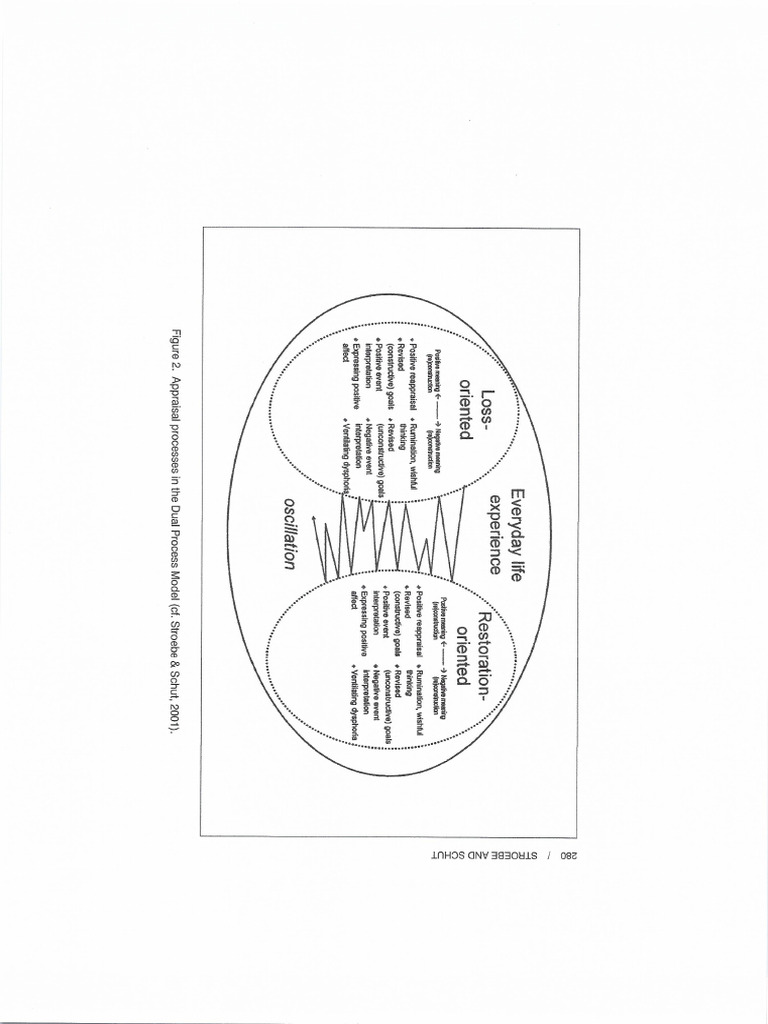 DPM2 - Figure 2 Appraisal Process in The DPM | PDF