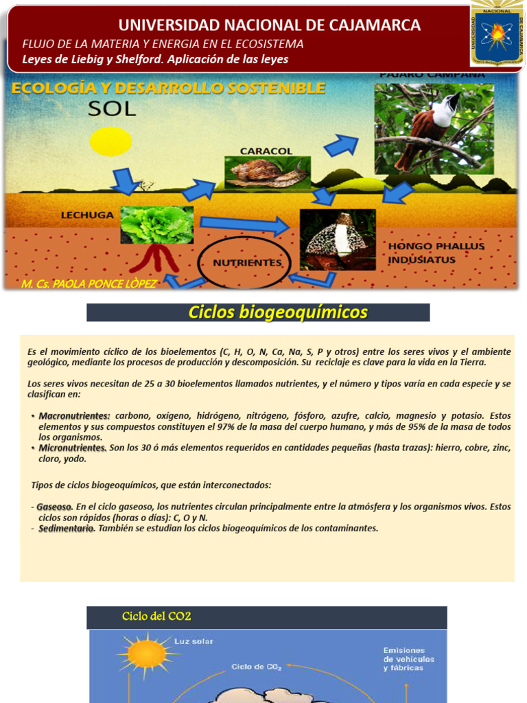 3RA SEMANA DE CLASES ECOLOGIA TEORIA | PDF | Biología | Naturaleza