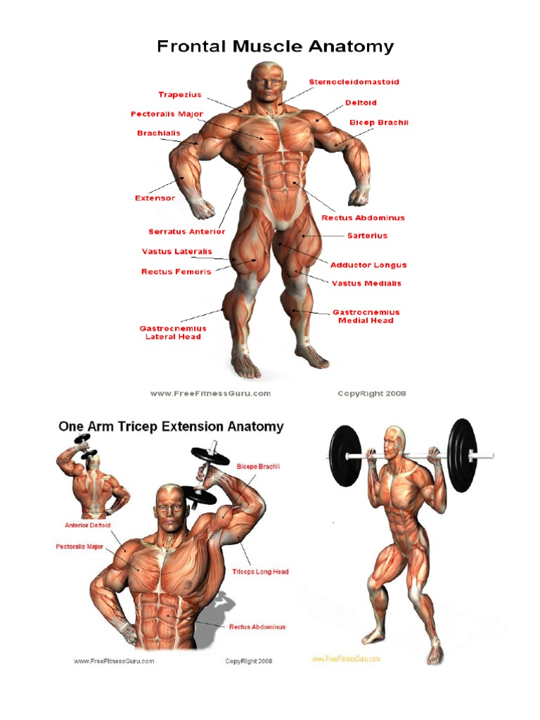 male-body-parts-name-with-picture