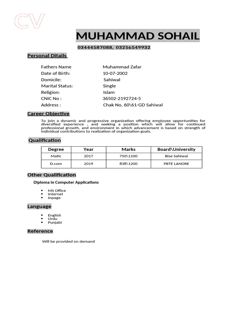 My CV | PDF