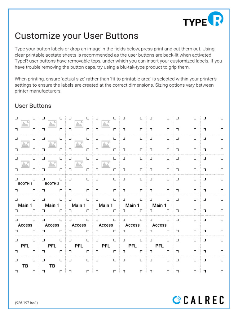 TypeR Custom UserButtons | PDF