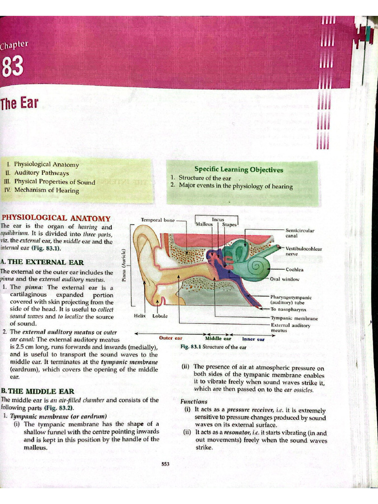 Ear | PDF