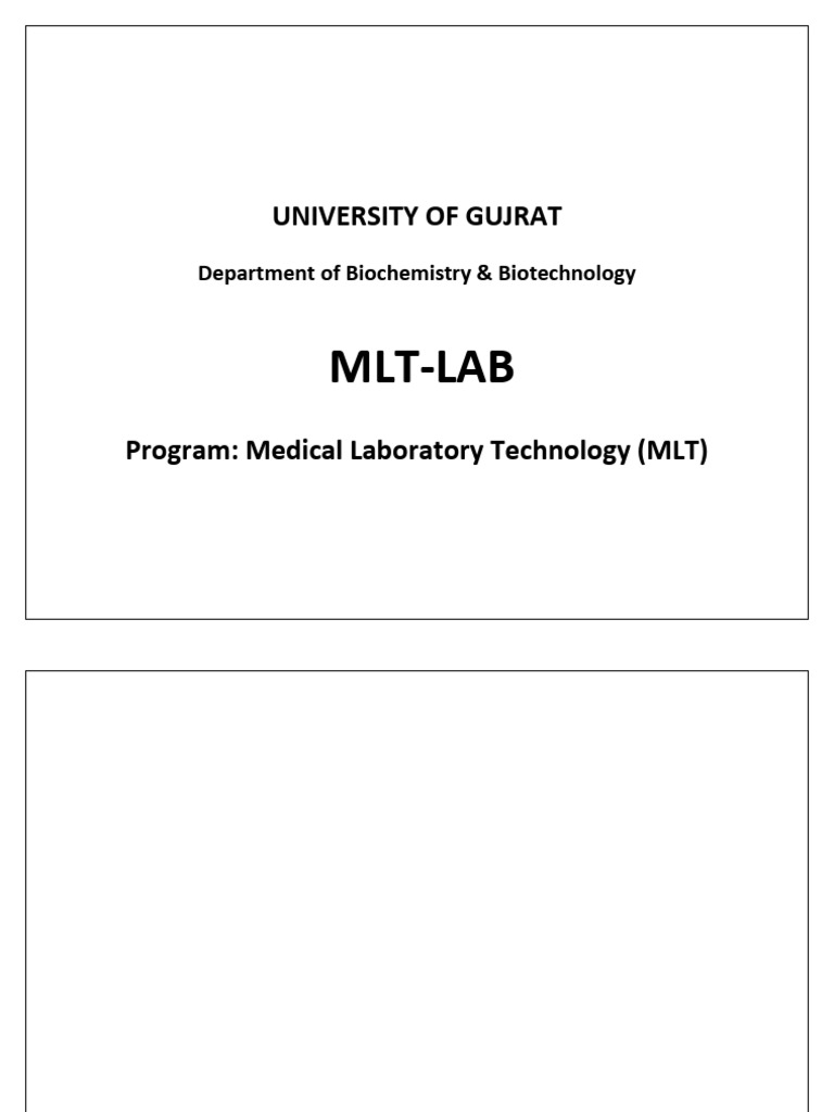 MLT-LAB | PDF