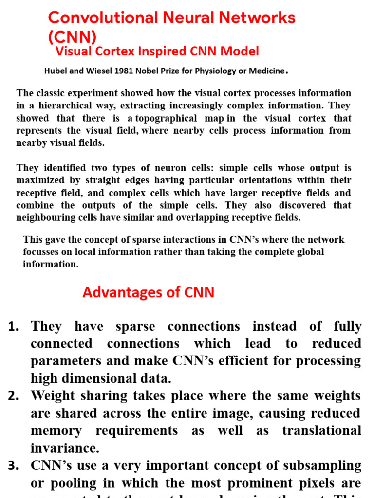 Copy of L11-CNN1.Pptx | PDF | Computational Neuroscience | Cognitive ...