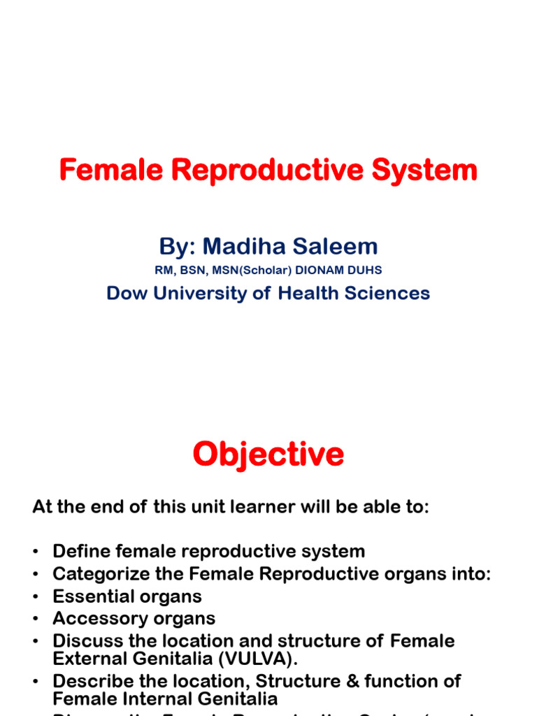 Female Reproductive System Made by ShoaiB AdiL (1) | PDF | Ovary ...