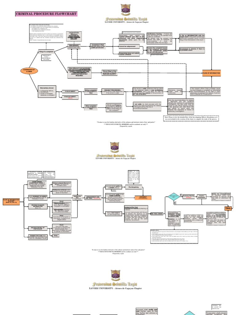 Criminal Procedure Flowchart | PDF | Plea | Affidavit