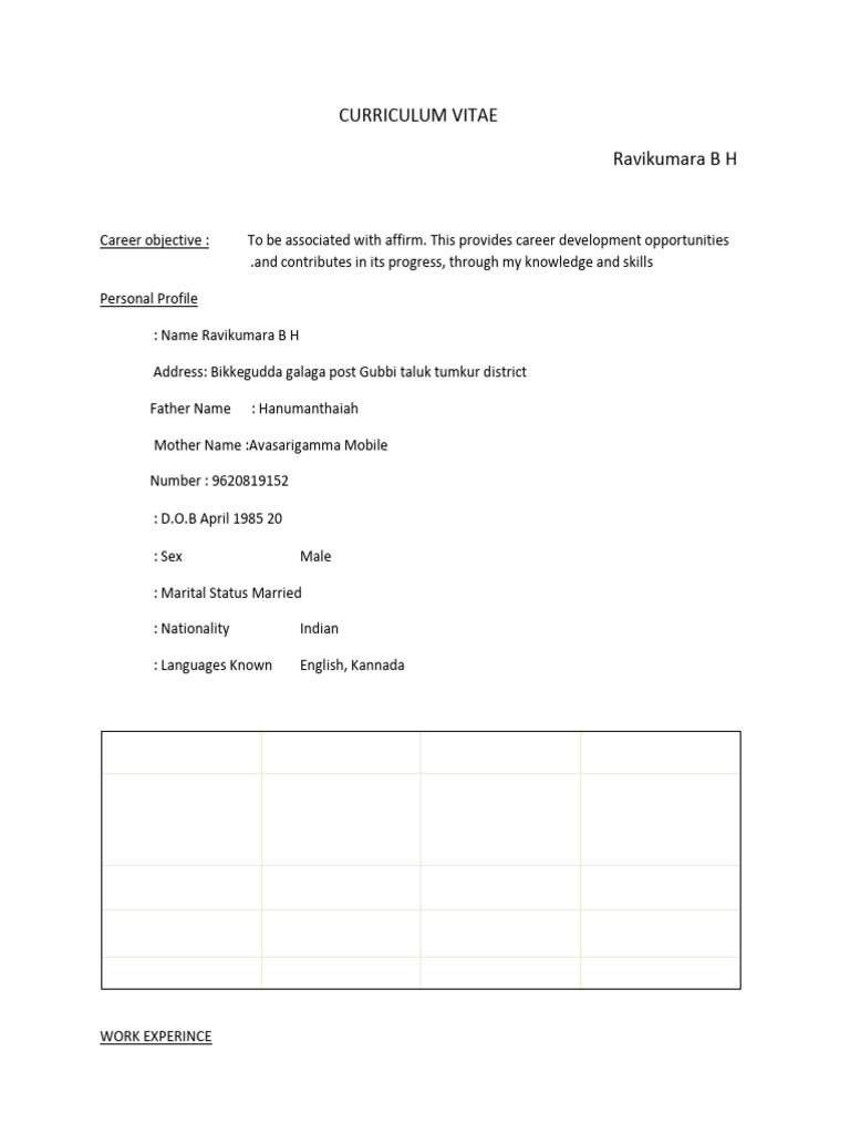 Ravi Kumar CV 2026 | PDF