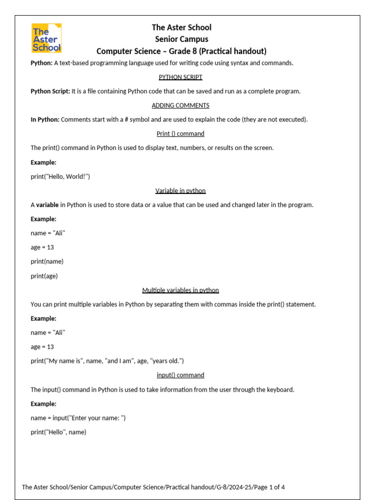 Grade 8 CS Practical Outline | PDF | Python (Programming Language ...