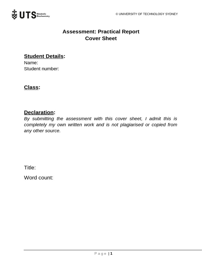 Practical Report Template Autumn 2024 | PDF