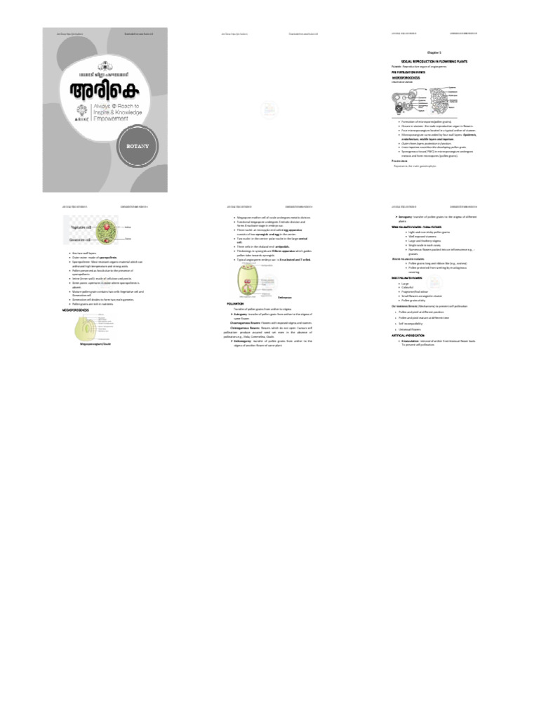 Plus two Botany Micro | PDF | Pollen | Recombinant Dna