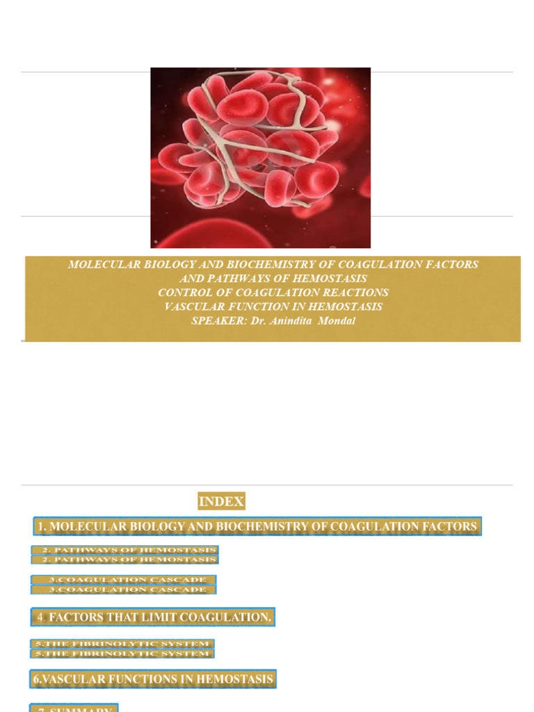 19b Coagulation Pathway-1 | PDF | Coagulation | Platelet