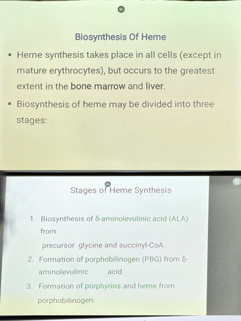 Biochem | PDF
