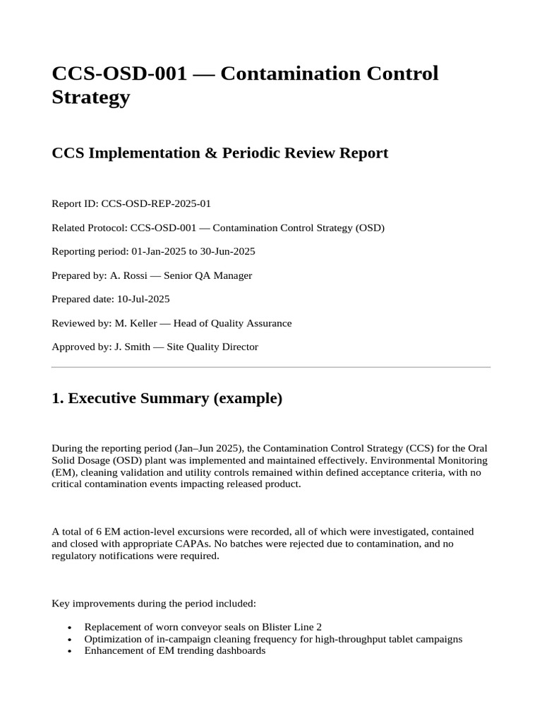 CCS Implementation & Periodic Review Report (Example) | PDF
