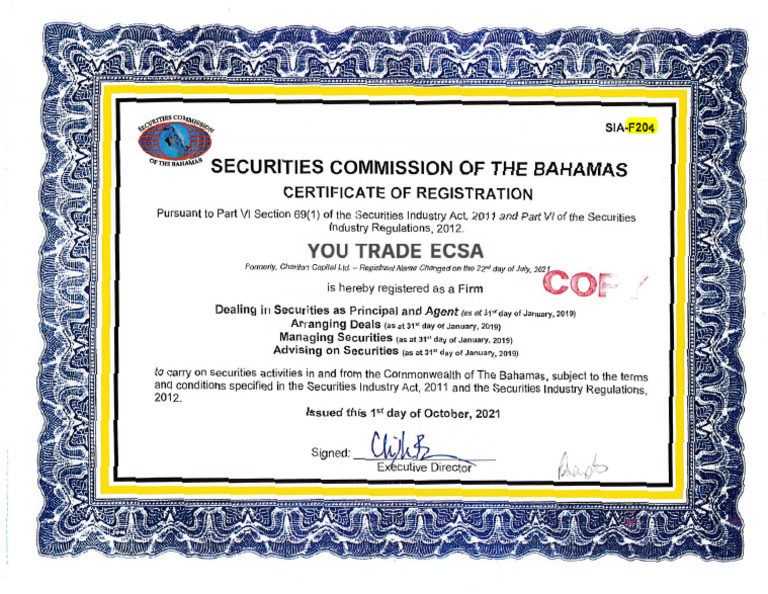 Registration Certificate Ecsa | PDF