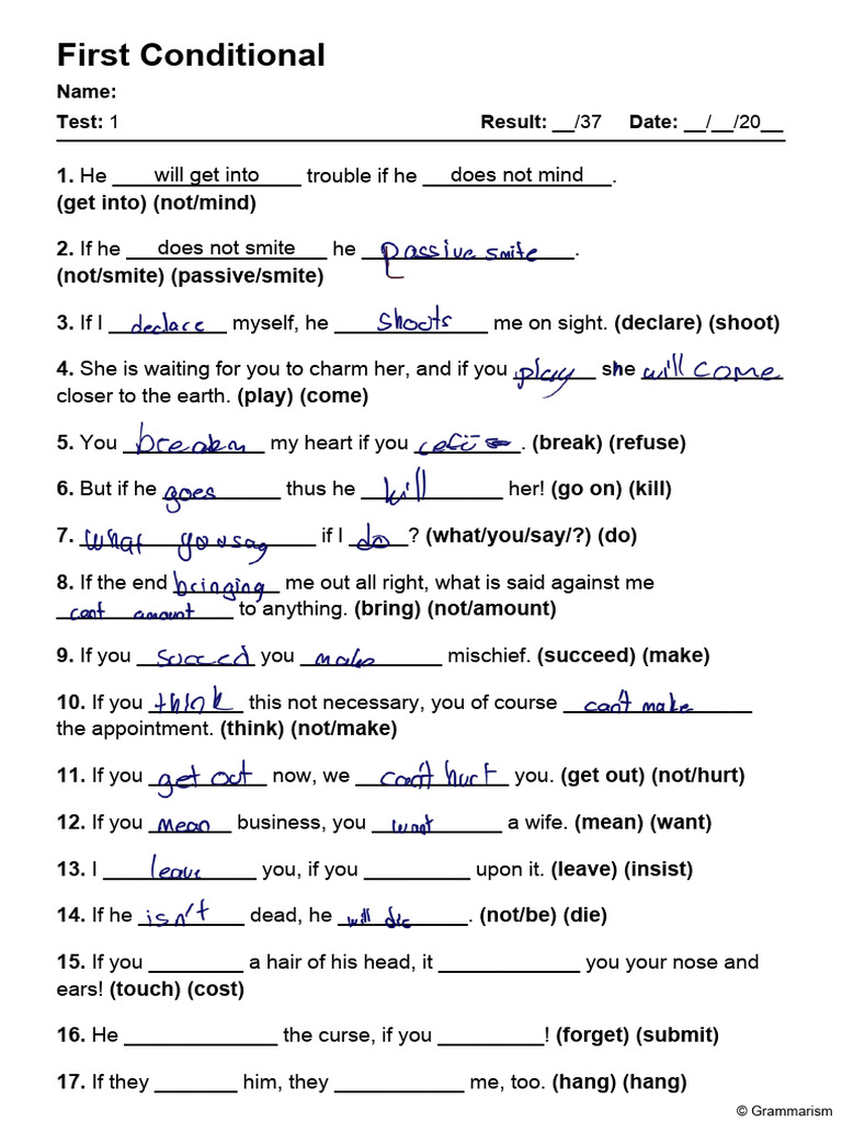 Grammarism First Conditional Test 1 1880646 | PDF