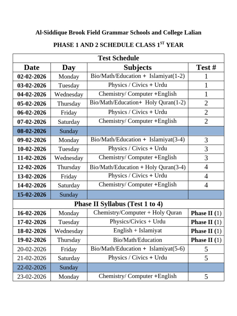 Phases Schedule 1st Year | PDF