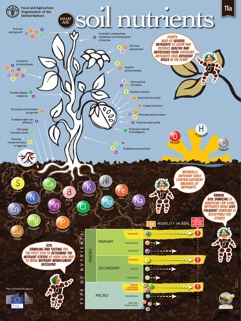 nutrient-in-plants-pdf-plant-nutrition-chemistry