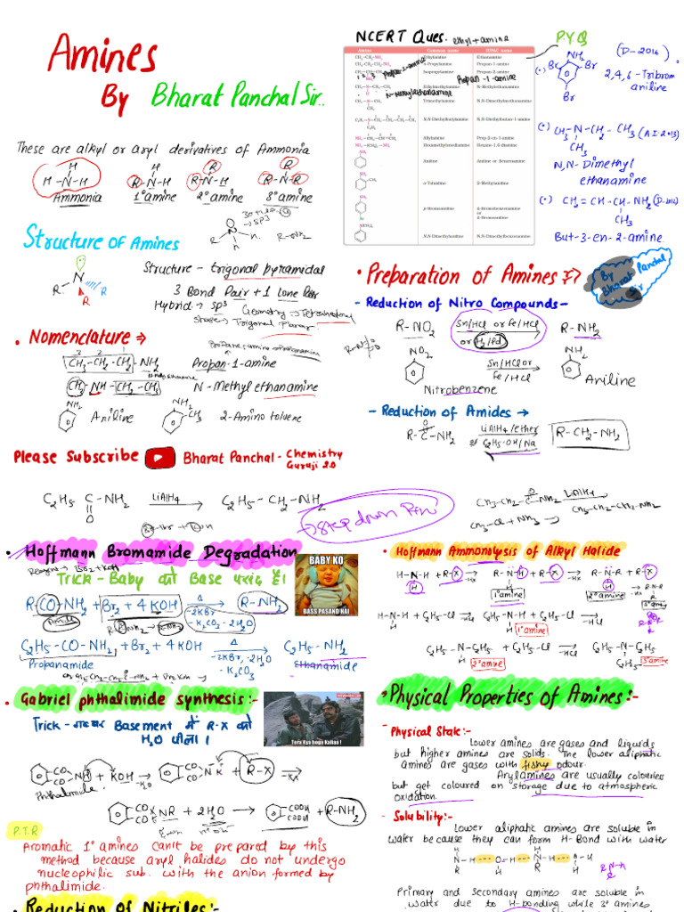 Amines (1) 2 | PDF | Amine | Organic Chemistry