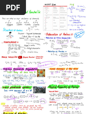 Amines | PDF | Amine | Functional Group