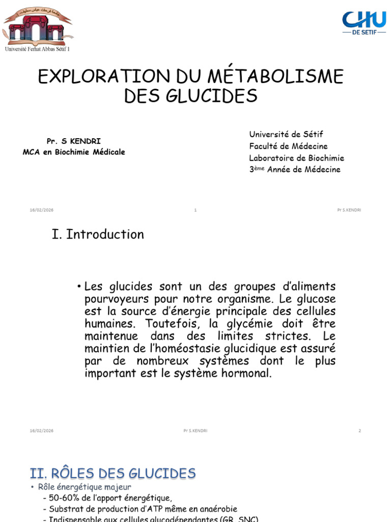 Exploration Du Métabolisme Des Glucides | PDF | Glucide | Métabolisme