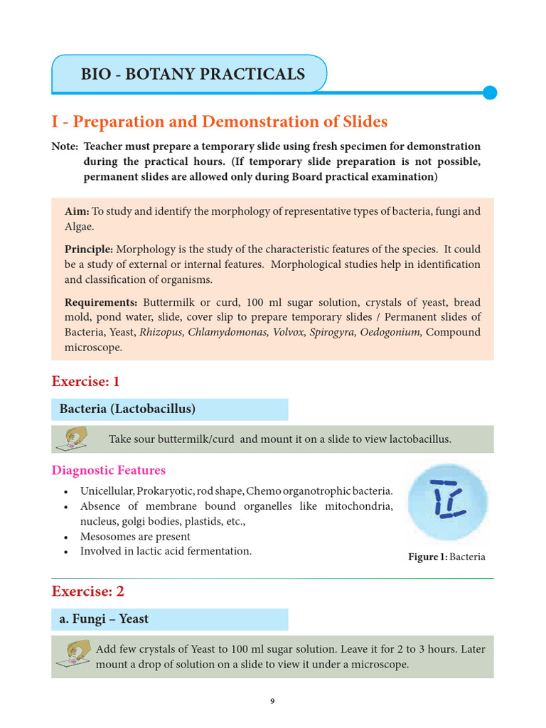 11th Bio Botany Practical Manual English Medium | PDF | Flowers | Petal