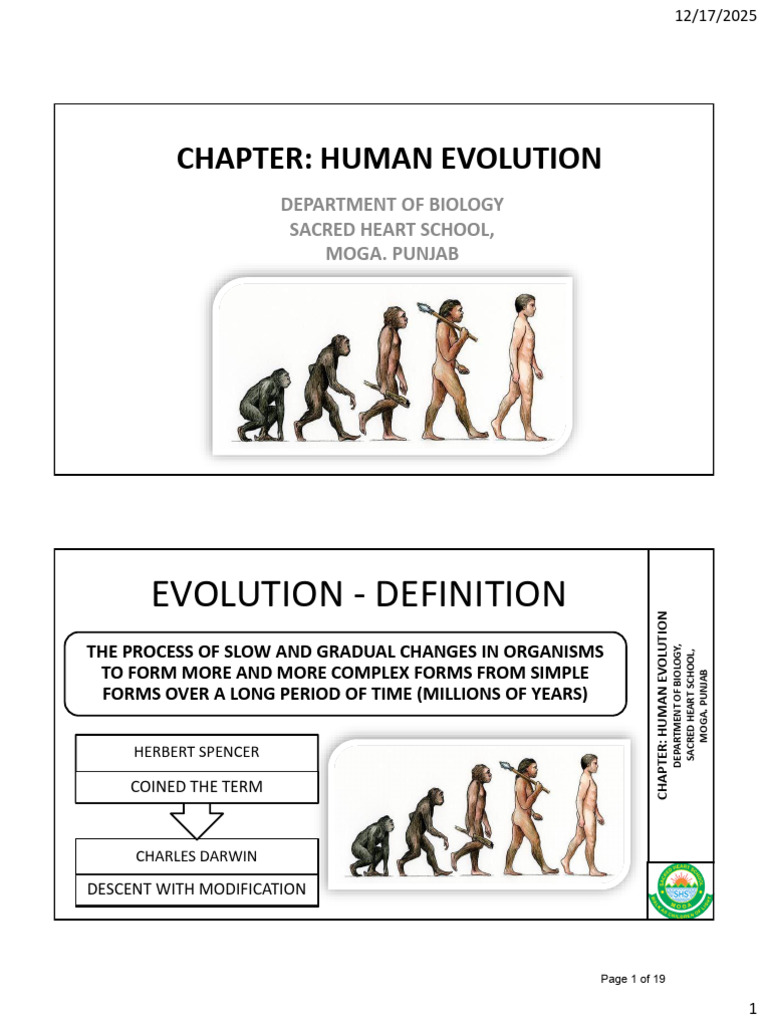 CH-HUMAN EVOLUTIONS | PDF | Natural Selection | Human Evolution