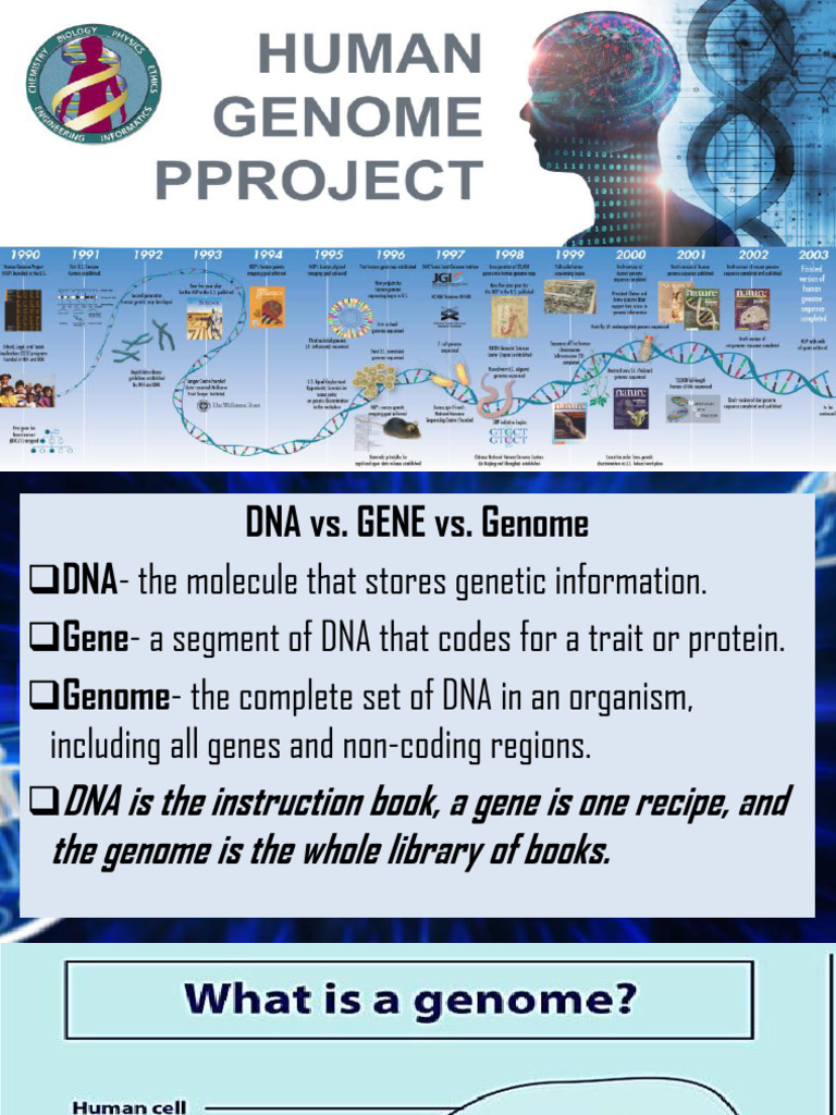HUMAN-GENOME-PROJECT-EDITED | PDF | Human Genome | Genetics