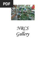 NRCS Gallery