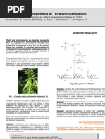 Download Combinatorial Biosynthesis of Tetrahydrocannabinol - The LEGO-Principle to Construct an Artifical Biosynthetic Pathway for THCA by Cannabinoid Android SN101039485 doc pdf