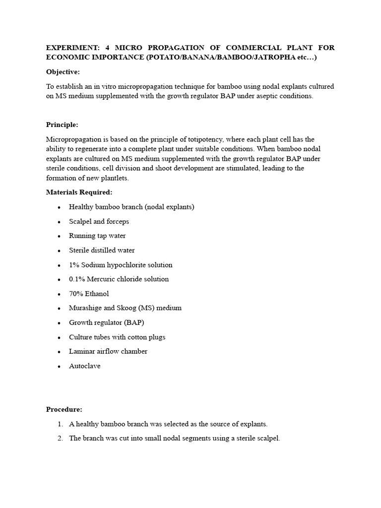 Experiment 4 1 | PDF