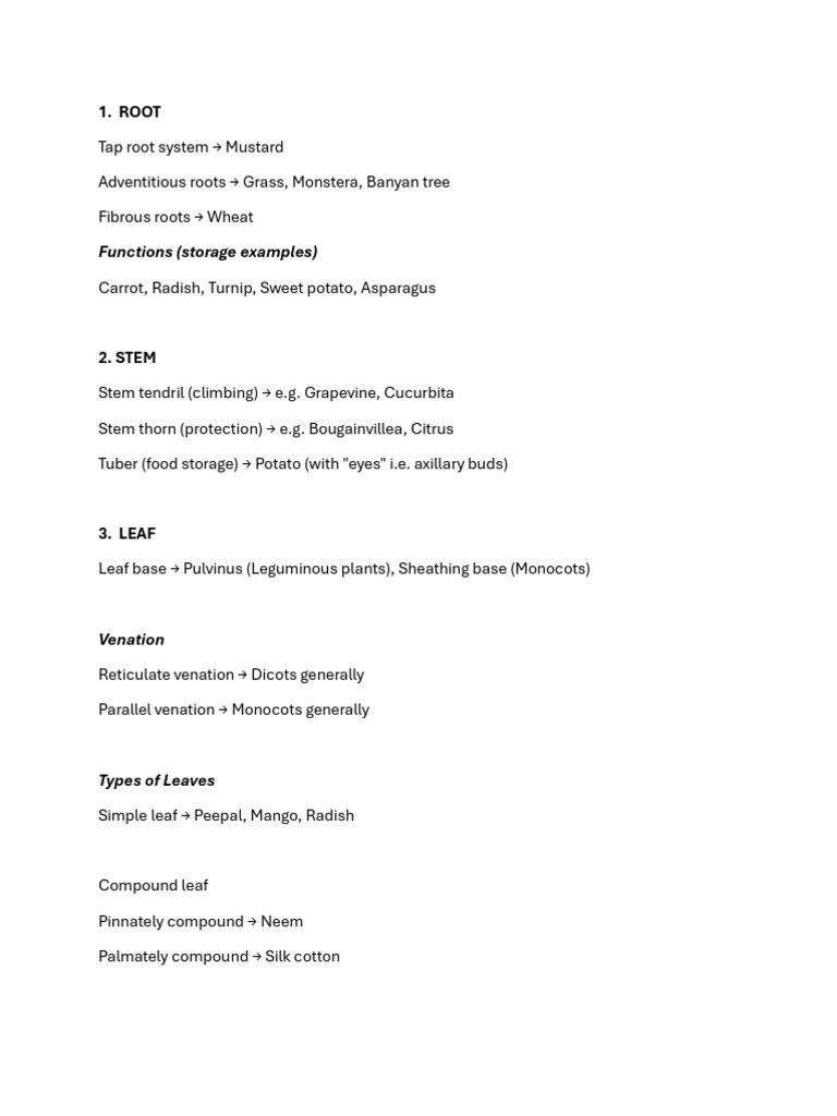 MoFP List of Examples | PDF
