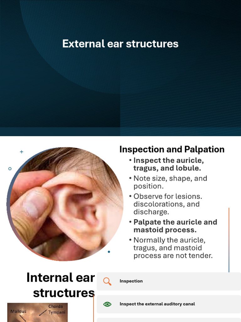 EAR-NOSE-MOUTH | PDF