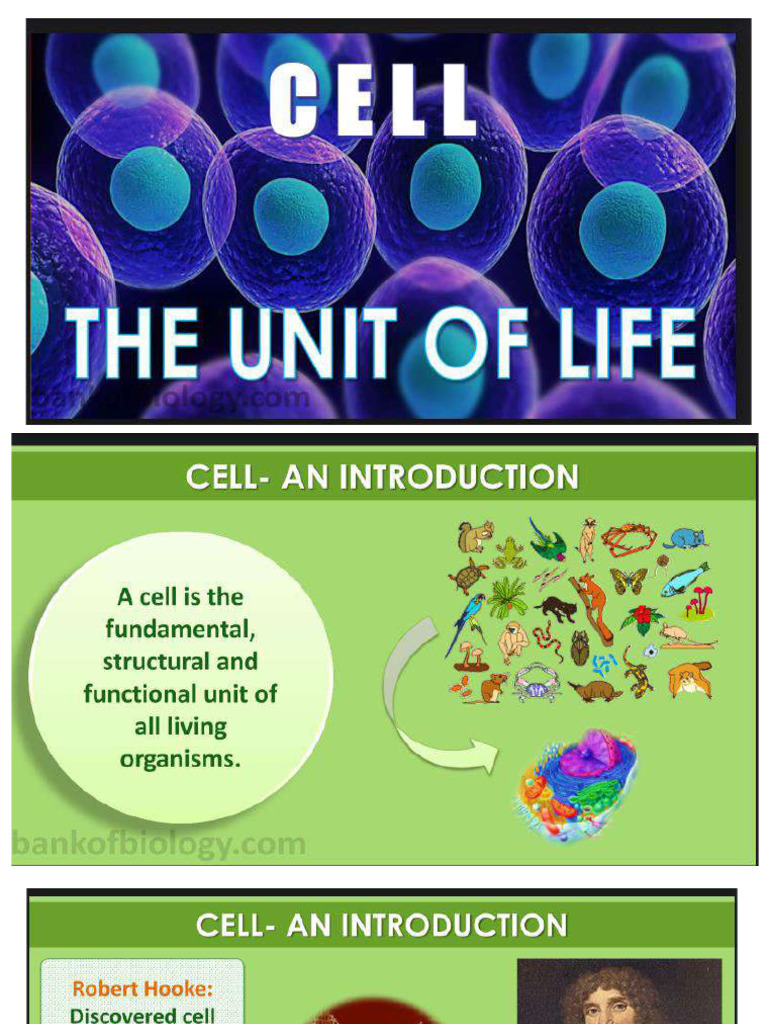 Cell The Unit of Life | PDF | Cell (Biology) | Lysosome