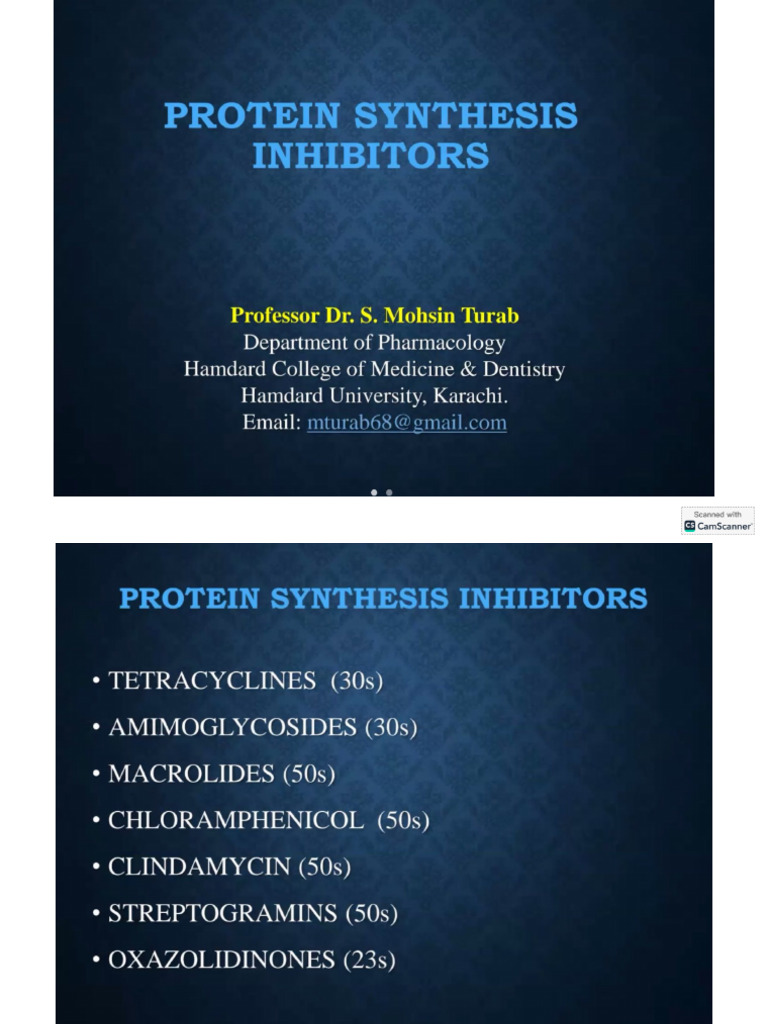 Protein Synthesis Inhibitors | PDF