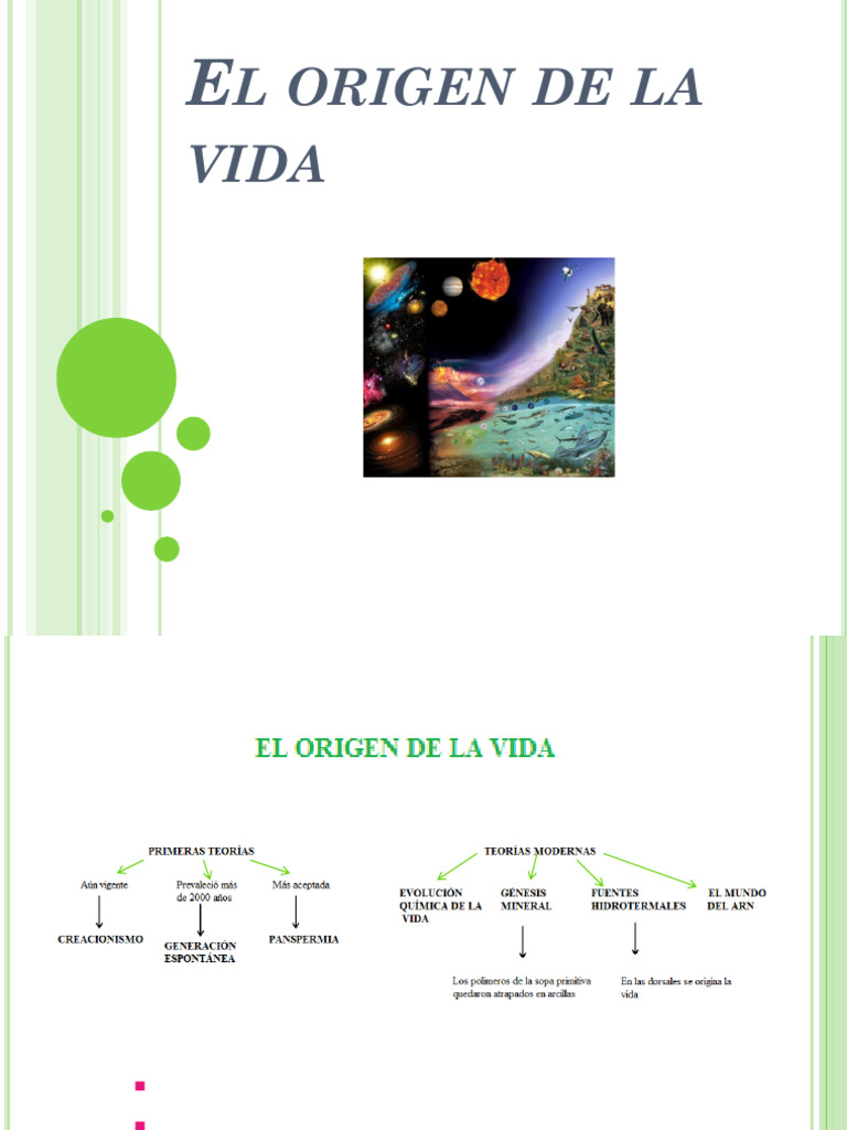 0 Ampliación Origen de La Vida | PDF | Abiogénesis | Fotosíntesis
