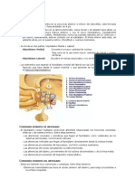 PSICOFISIOLOGIA