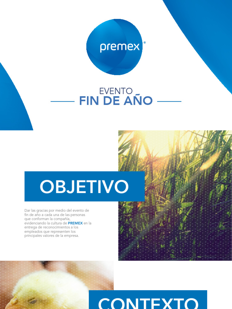 Presentacion Premex | PDF