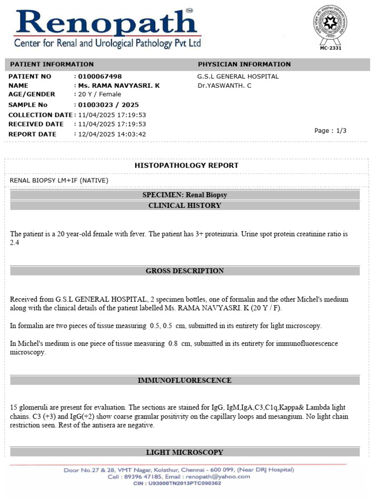 01003023-2025-04-11 | PDF | Staining | Medical Specialties