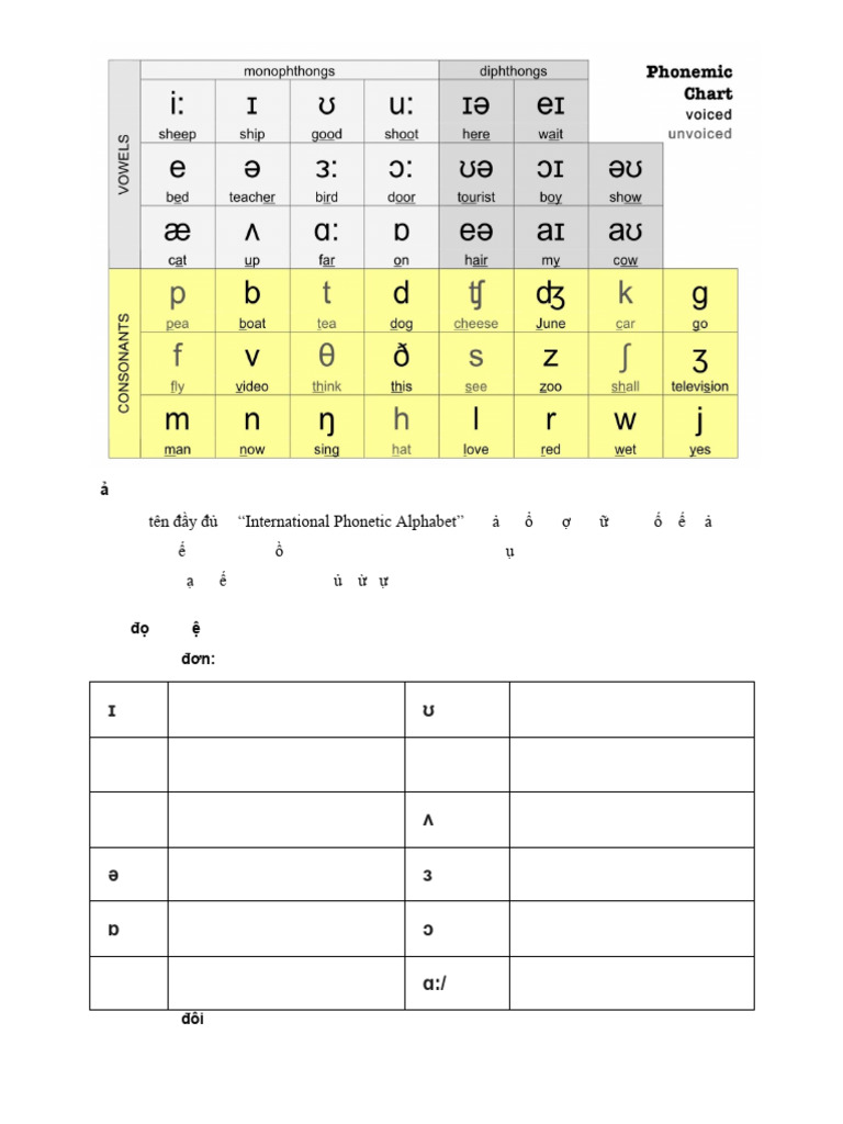Bảng IPA Là Gì | PDF
