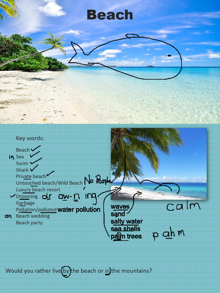The Beach | PDF