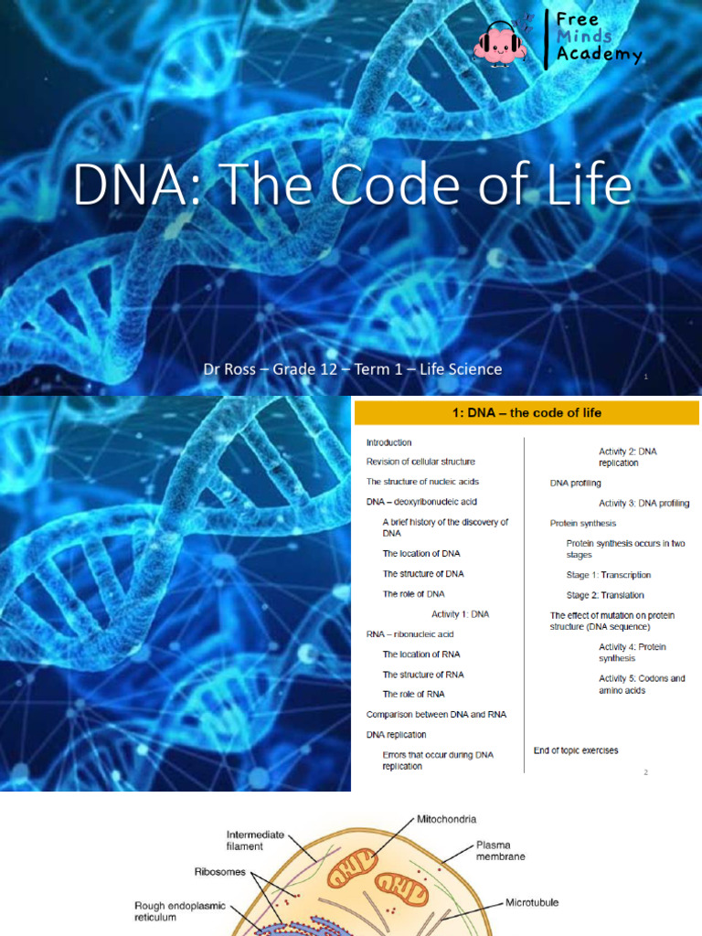 1 - DNA - The Code of Life - Term 1 - G12 [Autosaved] | PDF | Cell ...