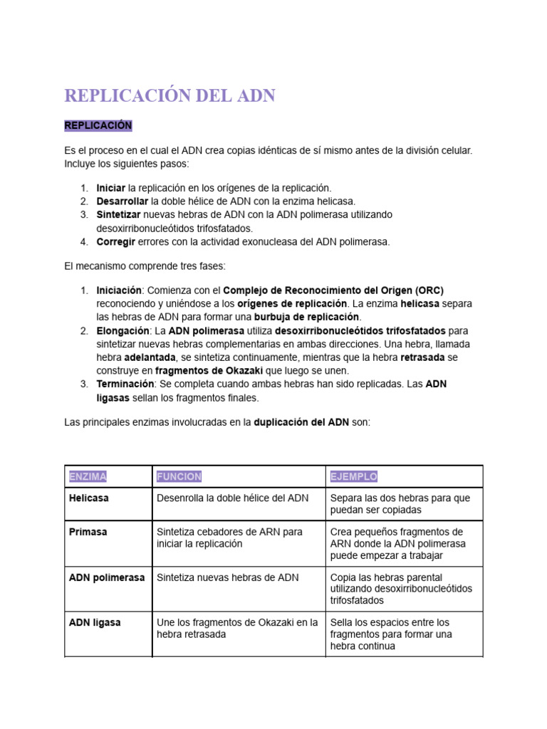 Replicacion Del ADN | PDF | Replicación De Adn | Adn