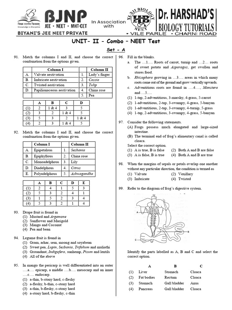 Unit II - Combo - NEET Test - Set a - 23-11-2025 | PDF | Leaf | Plant Stem