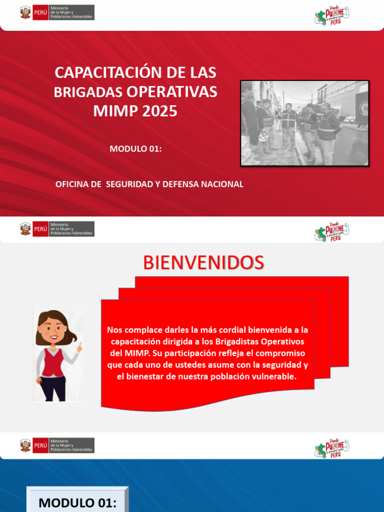 Learning Modulo 01 Mimp | PDF | Riesgo | Temblores