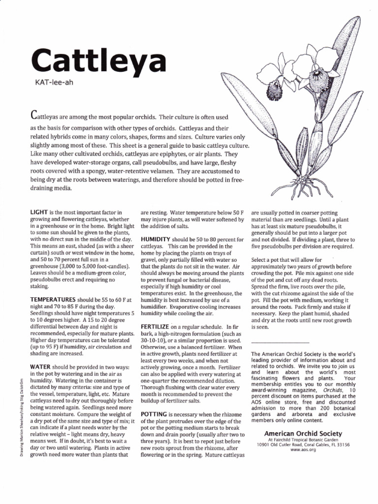 Cattleyas Revised 2020 | PDF | Humidity | Plants