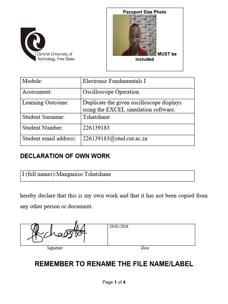 Remember To Rename The File Name/Label: Declaration of Own Work | PDF ...